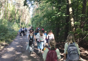 Leśną drogą idą uczniowie.