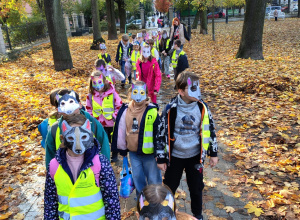 "Wilki" też noszą odblaski "Wilki" też noszą odblaski