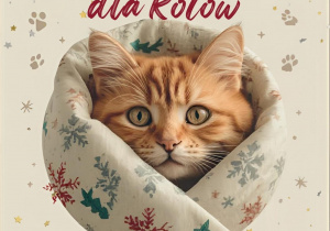 Plakat informujący o zbiórce dla kotów. Na górze jest logo szkoły, poniżej napis "Świąteczna zbiórka na kotów" niżej znajduje się zdjęcie kota zawiniętego w koc. Na dole znajduje się napis zachęcający do udziału w akcji.