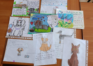 Na zdjęciu znajduje się kilka prac konkursowych. Znajdują się na nich rysunki zwierząt. W większości przypadków są to psy różnych ras.