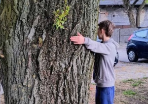 Chłopiec stoi obok drzewa i obejmuje je rękami.