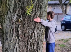 Wyzwanie "Przytul drzewo"