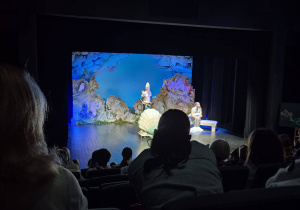Na widowni w teatrze siedzą uczniowie i oglądają przedstawienie. W głębi kadru widać scenę.