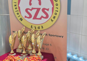 Na stole przykrytym czerwonym materiałem stoją puchar i leżą medale. W tle widać emblemat Szkolnego Związku Sportowego