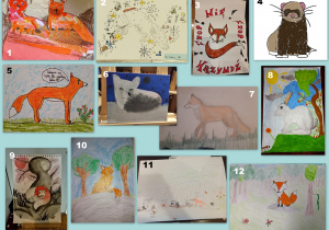 kolaż 12 zdjęć, na których znajdują się portrety lisa, jenota, królika, szynszyli, nutrii i norki