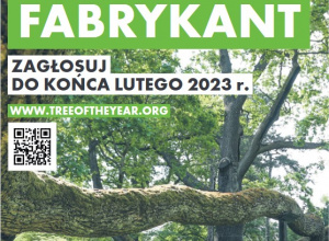 Europejskie drzewo roku - głosowanie