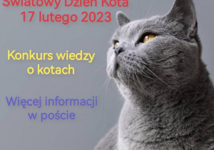 Na zdjęciu po prawej stronie znajduje się kot brytyjski. Po lewo znajdują się napisy "Światowy Dzień Kota 17 lutego 2023r., Konkurs wiedzy o kotach, Więcej informacji w poście" w kolorach: czerwonym, żółtym i fioletowym.