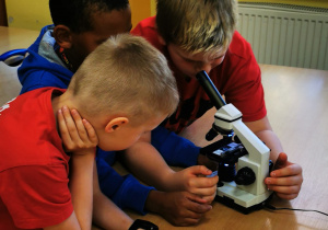 Trzech chłopców pochyla się nad mikroskopem stojącym na ławce szkolnej