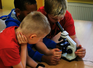 Obserwacje mikroskopowe na lekcjach przyrody