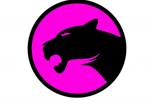 logo klubu sportowego - na różowym tle profil pantery w czarnym kolorze