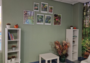 Na zdjęciu widać ścianę w kolorze oliwkowym, na której wiszą zdjęcia przyrodnicze, na podłosze stoją dwa regały z książkami, stolik, po prawej stronie widać również kawałek fototapety z leśną ścieżką