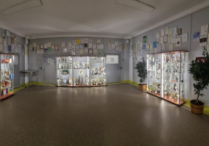 Na korytarzu szkoły przy ścianach stoją gabloty z pucharami. Na ścianie wiszą certyfikaty otrzymane przez szkołę.